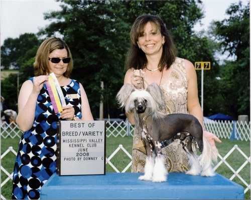 Nanpars Roc N Win Cheveyo