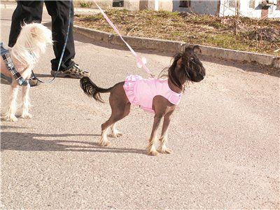 Kado Kitaiski Potselui Era Of Lav