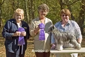 Topshelf's Cleo Highborn of Cayo Loco