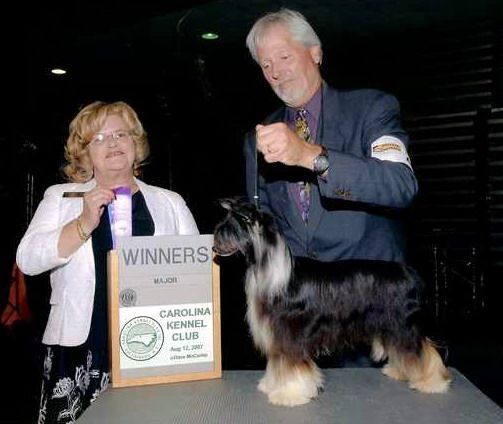 Daretobebare Magic Raven Spark