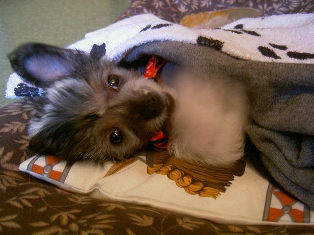 Jettafon's Believe Or Not