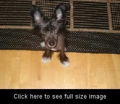 Jettafon's Believe Only Me