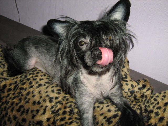 Jettafon's Believe It's Me