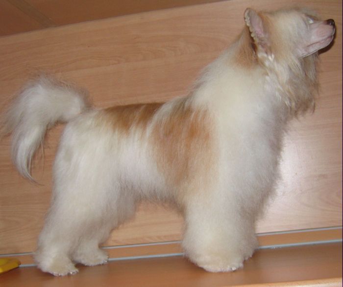 Welldan Fatal Beauti