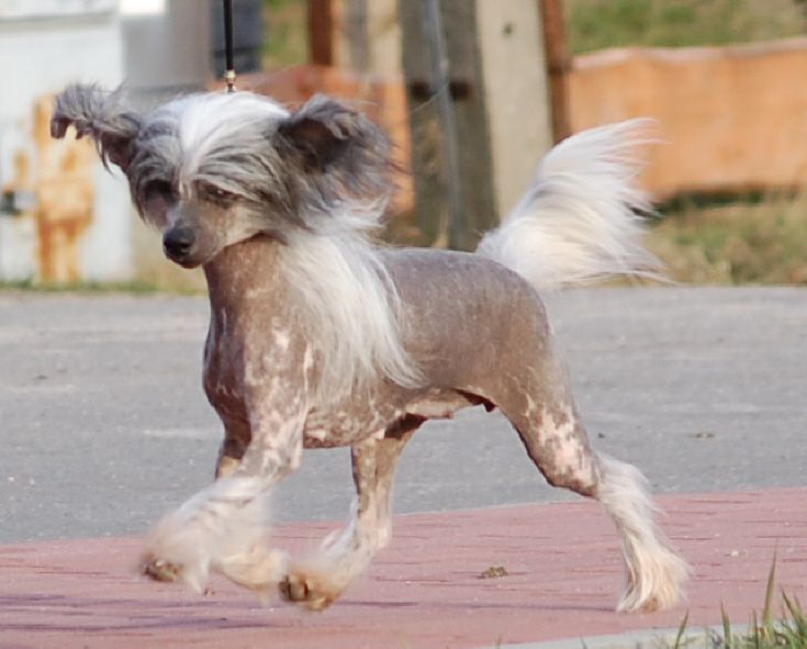 Laguna B. Sub-O-Divo