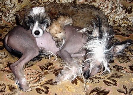 Qu-ya-va's Nan Ba Yue 