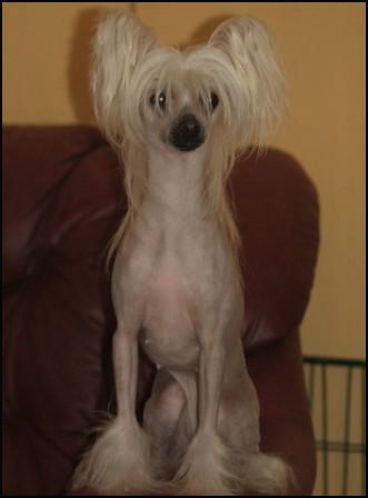 Qu-ya-va's Gong Zho Yuye