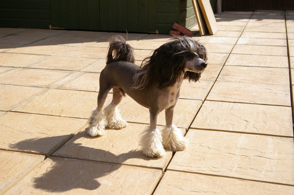 Vanitonia in Fashion from Zucci