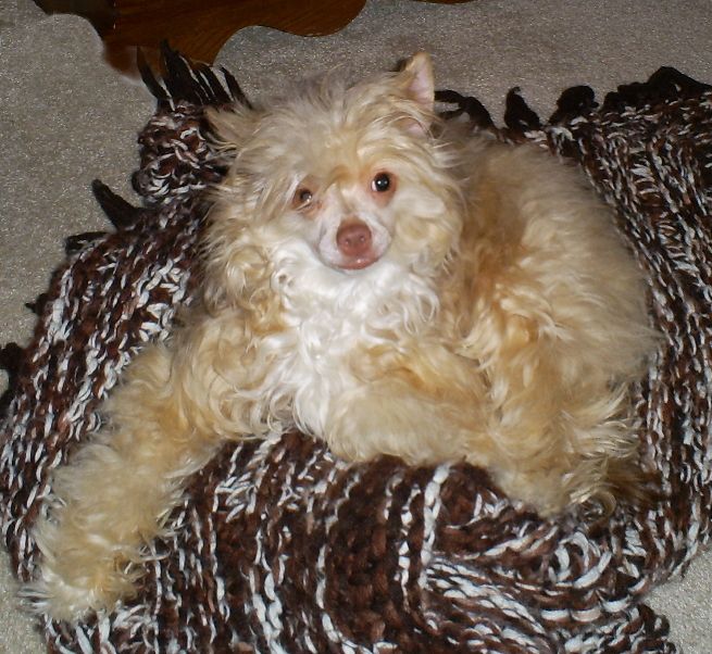 Mulberry's Keeper of the Stars