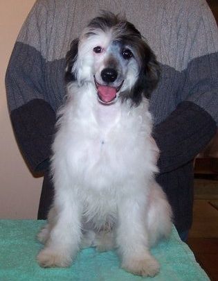 Bonito  Kolorowy Ogrod  