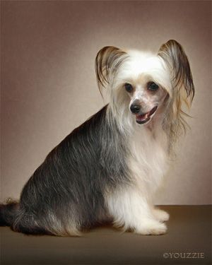 Shadowgame's HD Night Train