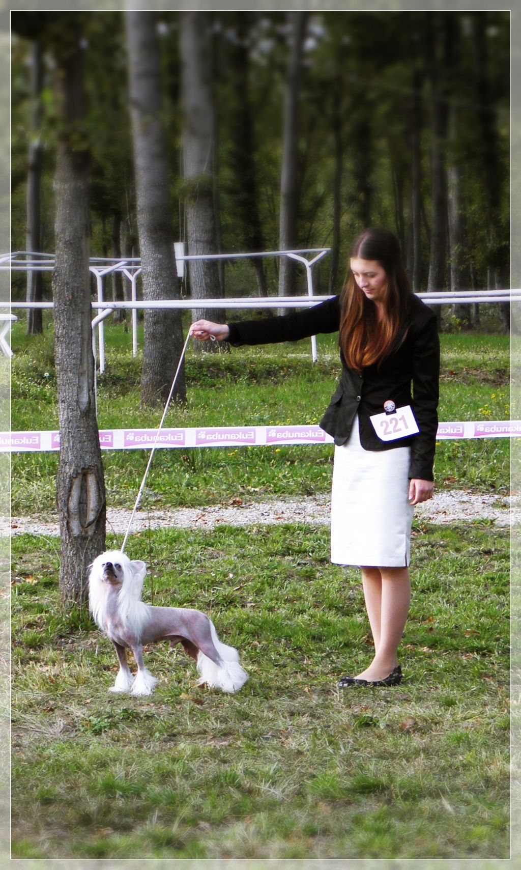 Paw-a-dee Hard to Beat