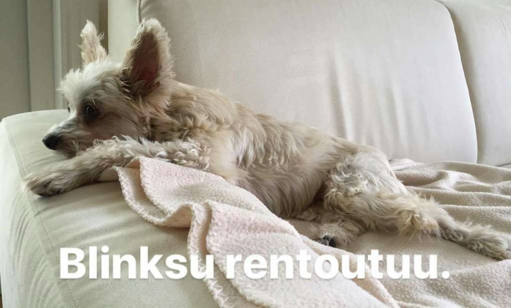 Giandujan Blingbling