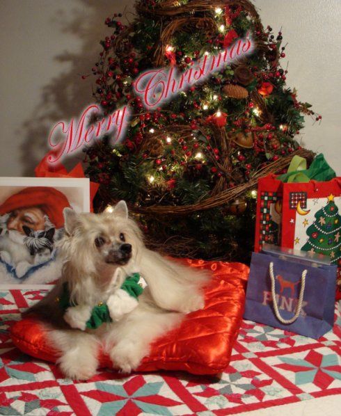 Rompford Runs With Scissors RN, DOM