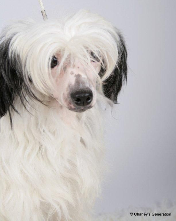 Dressed To Impress of Roxy's Pride