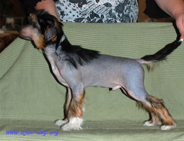 O'Schastlivchik iz Jablonevogo Sada