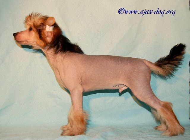 Pixel iz Jablonevogo Sada