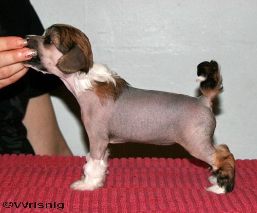 Twice as Nice Mumsfilibabba