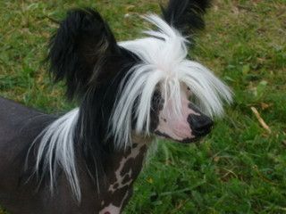 Valanyan Island Kiss