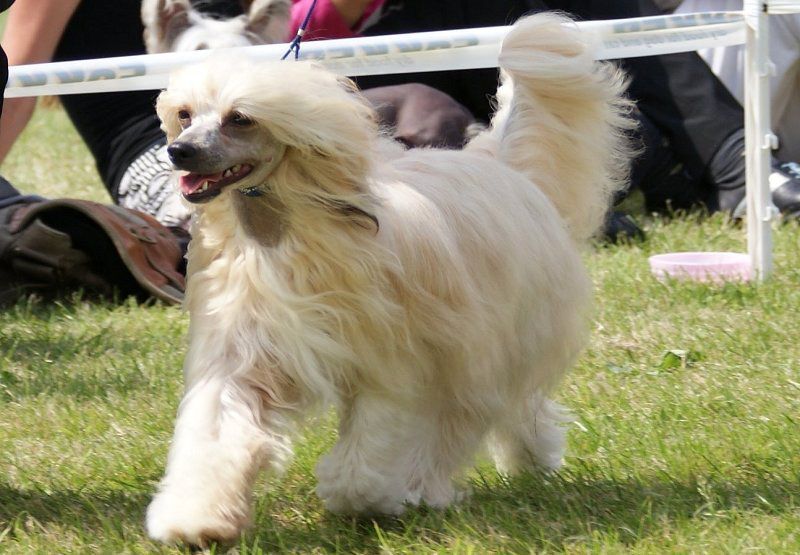 Cherry on the Top of the Queens Club