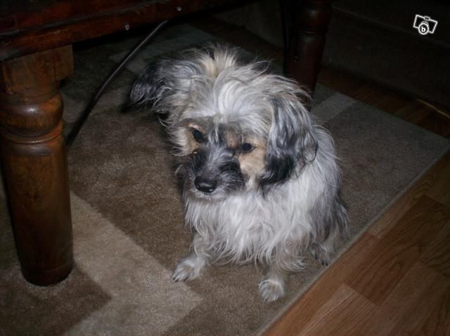 Häradssvedens Dr Quinn