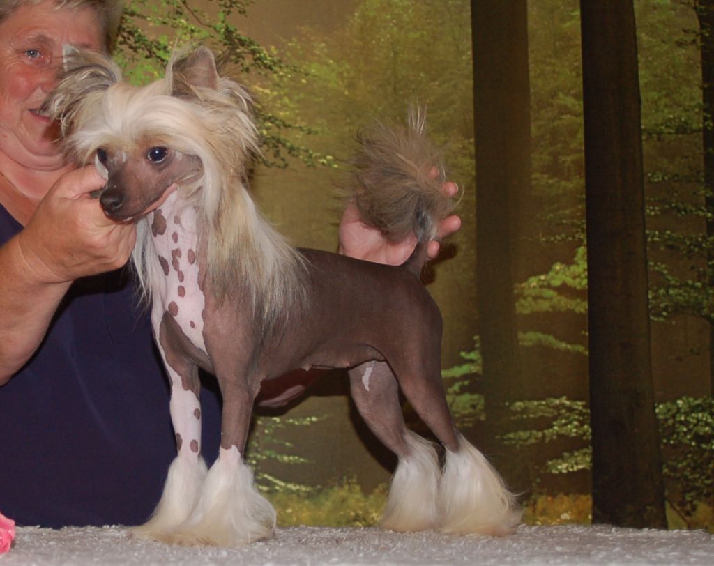 De La Mahafu's Model Fatima