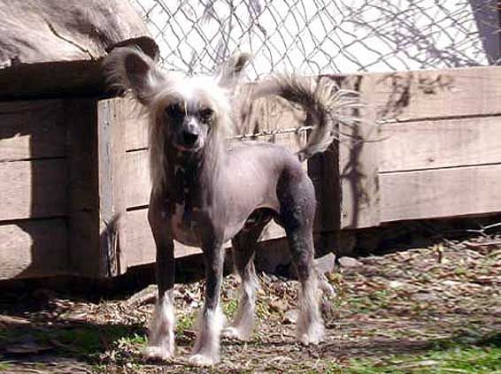 Antidote De La Fontaine Aux Malefices