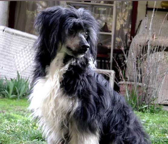 Belen Babilonia de Leila's