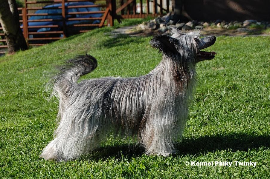 Pinky Twinky Check This Out