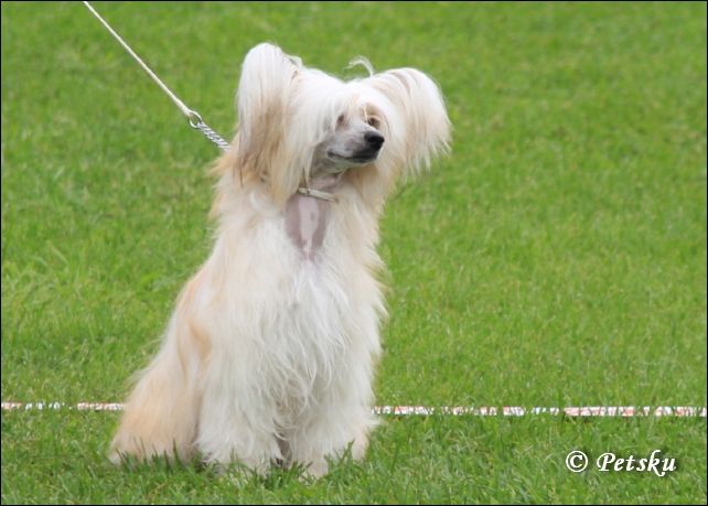 Pinky Twinky Catch Me If U Can