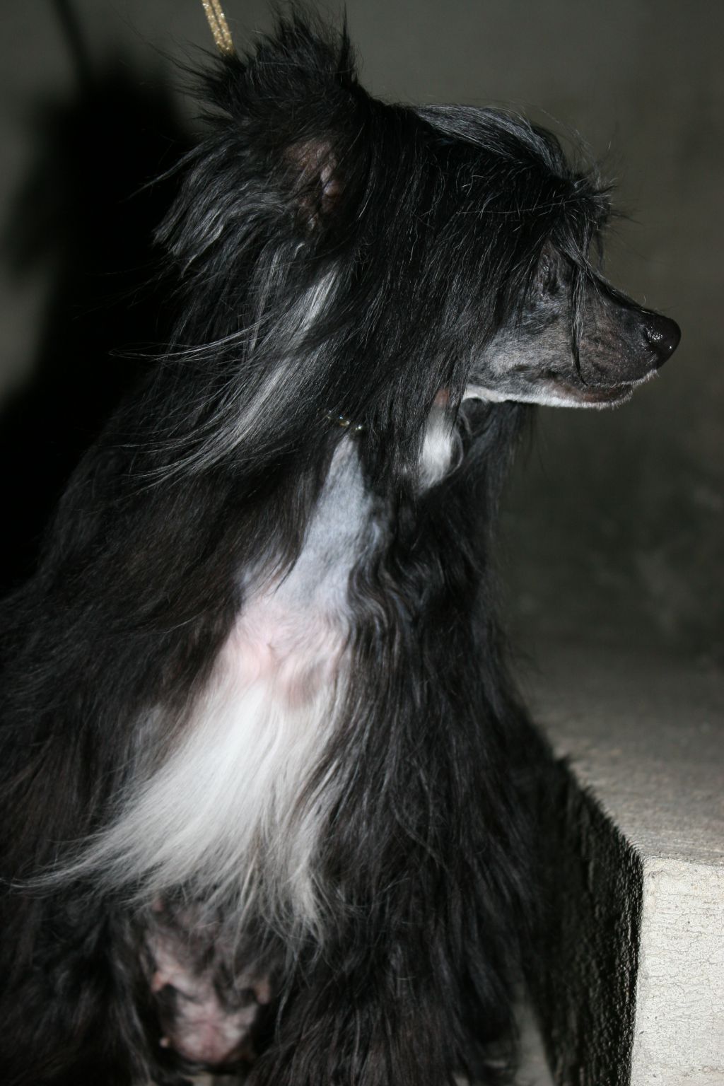 Vasilisa Ruah In Vifania