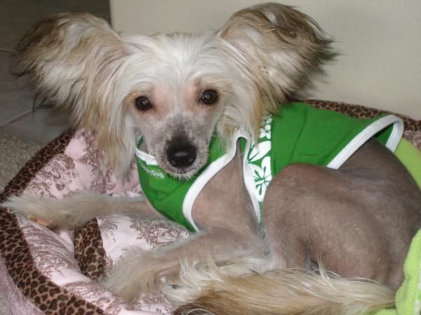 Princess Macey Belle