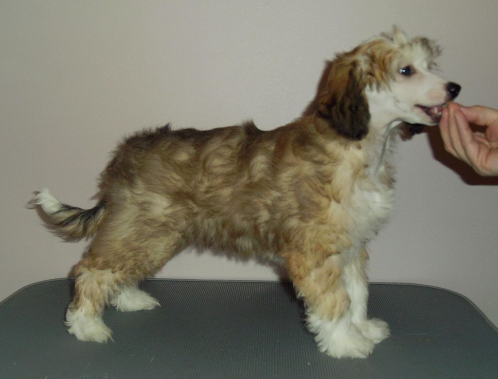 Cute and Crazy Freya