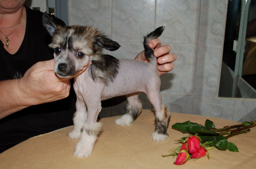 De La Mahafu's Love's Florence