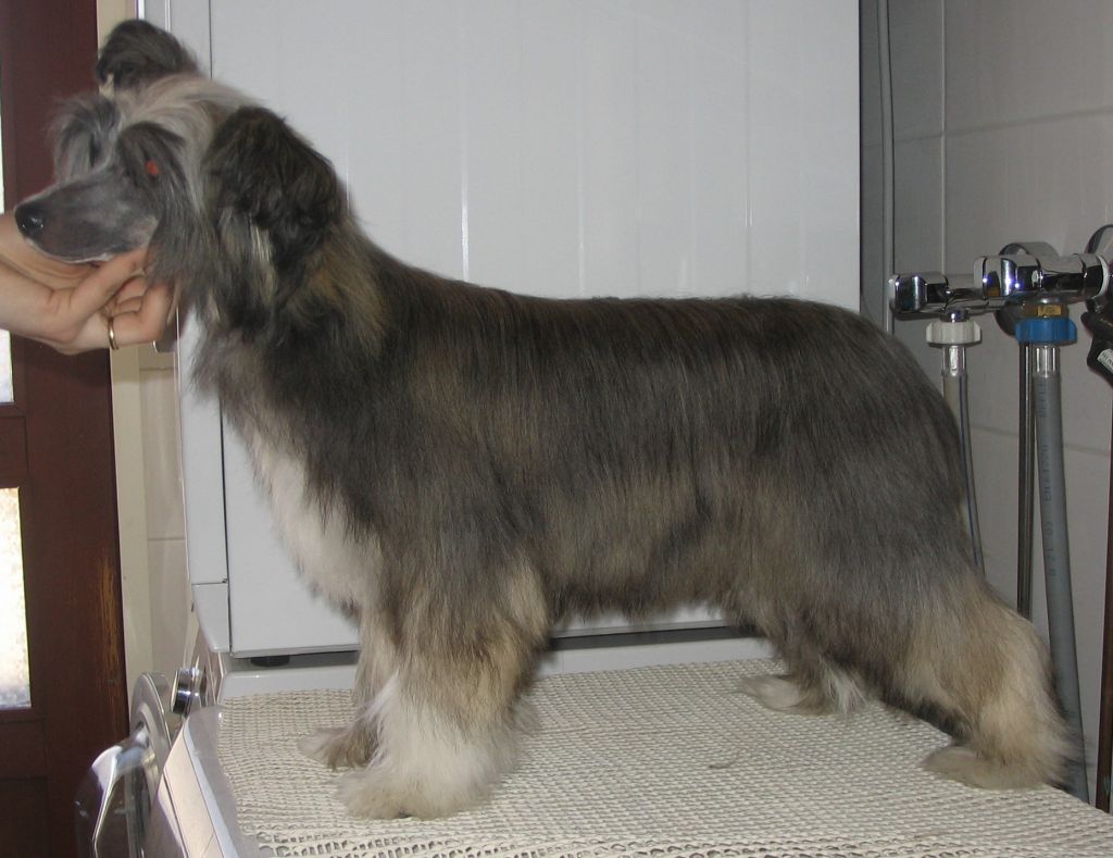 Kiikunkaakun Lentosuukko