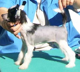 Spiritual You've Been Zapped