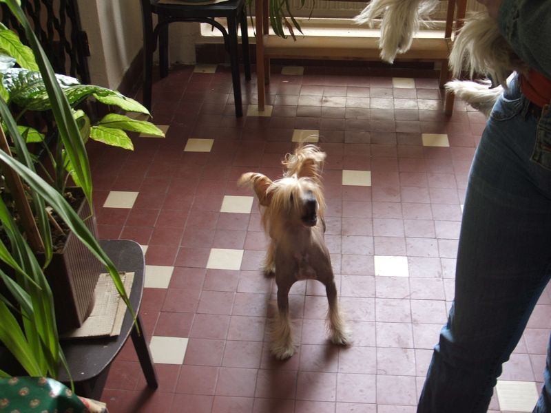 Ásvány-völgyi Flórián