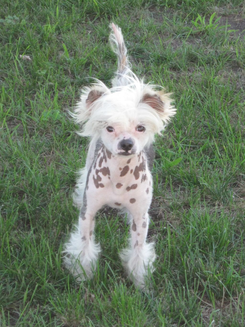 Outlaw's I Shot The Sheriff