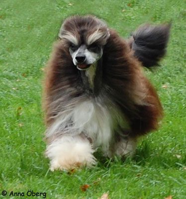 Bed'ykins Ain't Just Dark