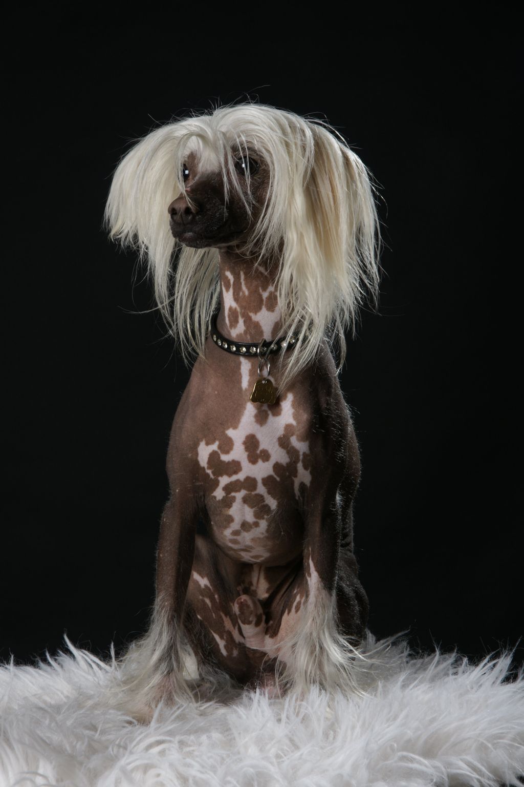 Aboo Sweet Nino De La Calle