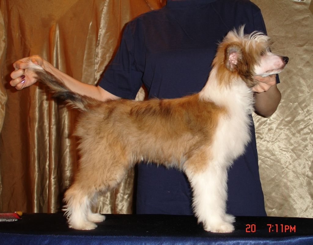 Rouber Balt Gibraltar