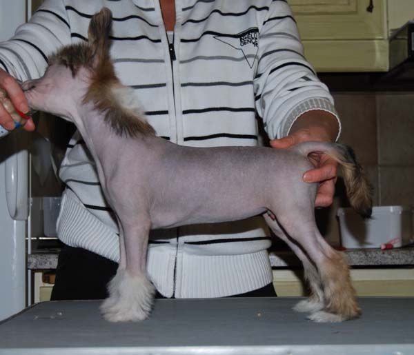 Chineseblue's High-Five