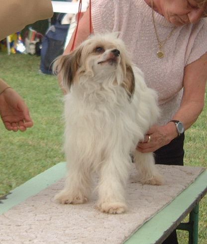 Nagymancs-Tappancs Sanny