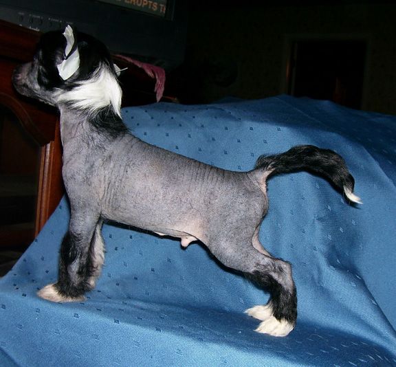 Spiritual Heartbreaker