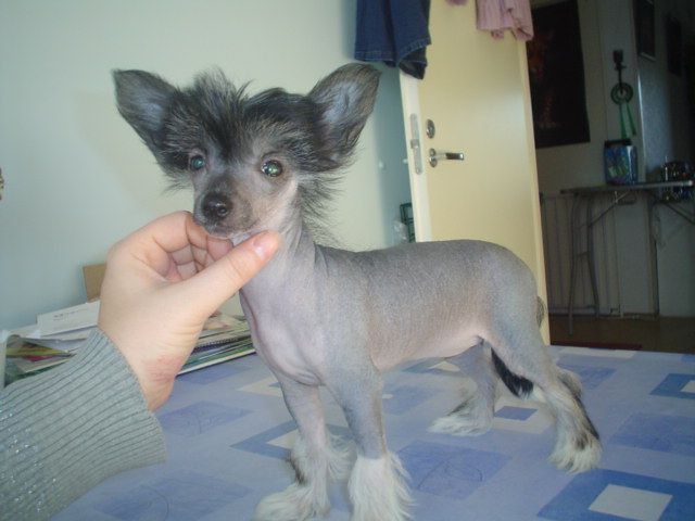 Candy Queen's Calendar Girl