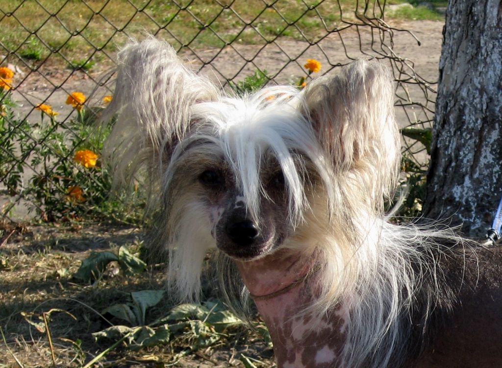 Vernisazh Mari Zabavny Kolokolchik