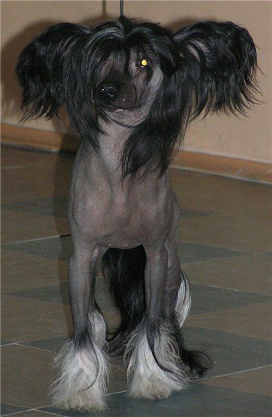 You Only You Black Bumer