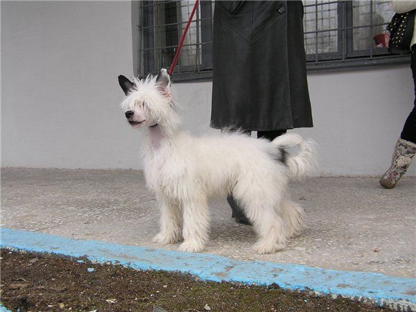 You Only You Bad Boy