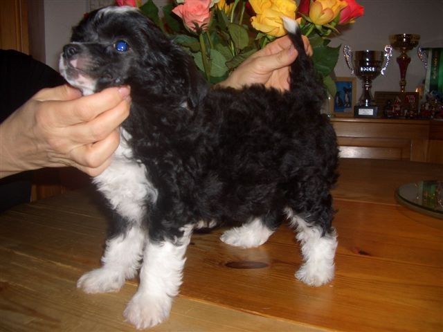 It's My Turn Fantasy Island