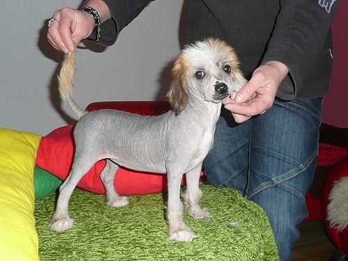 Insomnia Mia Eve-Bler